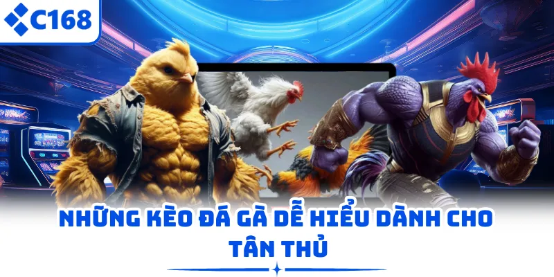 Những kèo đá gà dễ hiểu dành cho tân thủ